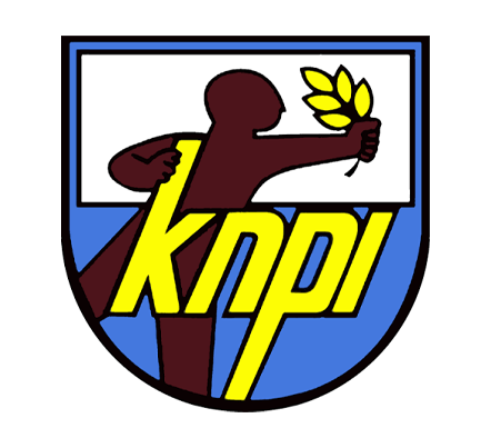 knpi logo